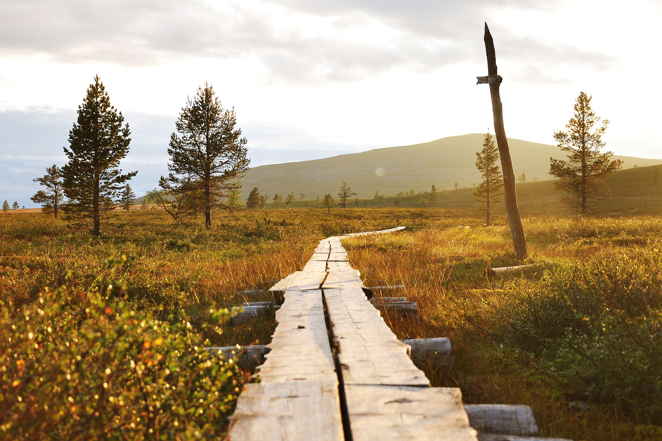 lapland_hiking